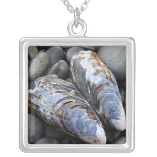 Heart Shells Silver Plated Necklace