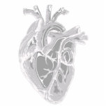 Heart Sketch Photo Sculpture<br><div class="desc">A detailed realistic monochromatic gray heart for display. CHD makes the heart a central subject in the lives of those touched by defects. This sculpture is for those with a specific fascination with this amazing organ. image adapted from https://pixabay.com/illustrations/heart-nurse-health-body-parts-5079717/ by mandrakept.</div>