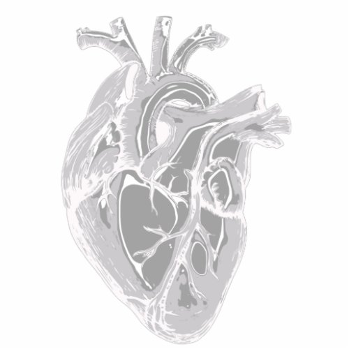 Heart Sketch Photo Sculpture