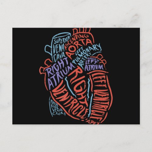 Heart Specialist Anatomy Doctor Medical Biology Holiday Postcard