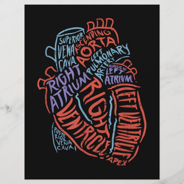 Heart Specialist Anatomy Doctor Medical Biology Letterhead (Front)