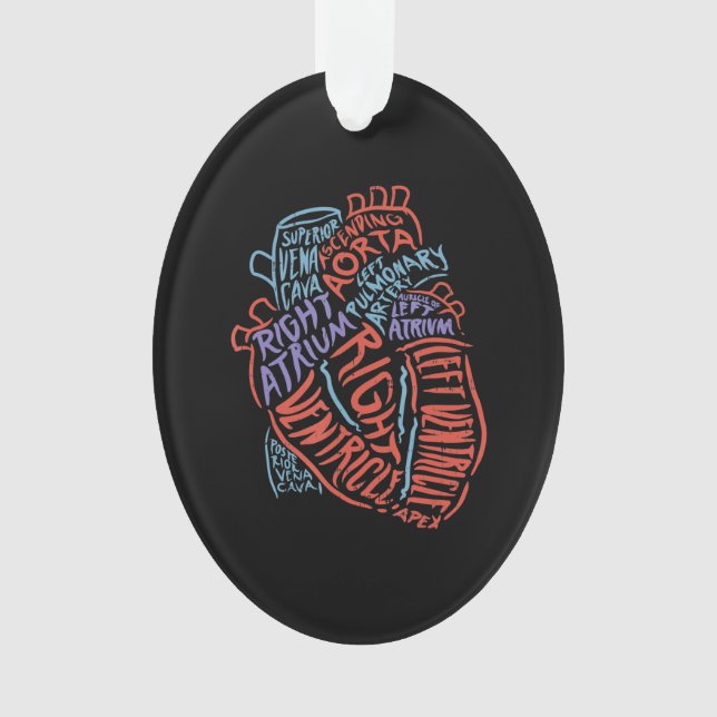 Heart Specialist Anatomy Doctor Medical Biology Ornament (Front)