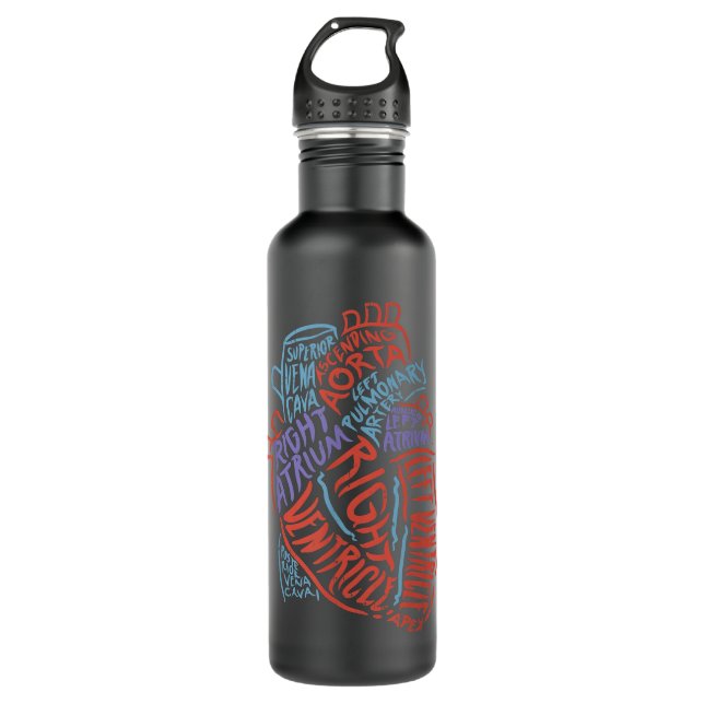Heart Specialist Anatomy Doctor Medical Biology  Stainless Steel Water Bottle (Front)