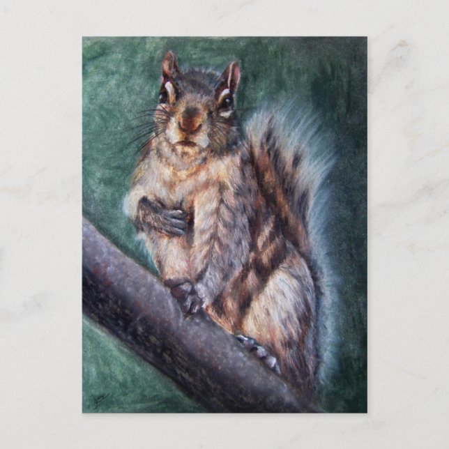 Heart Thump (Squirrel) Postcards (Front)