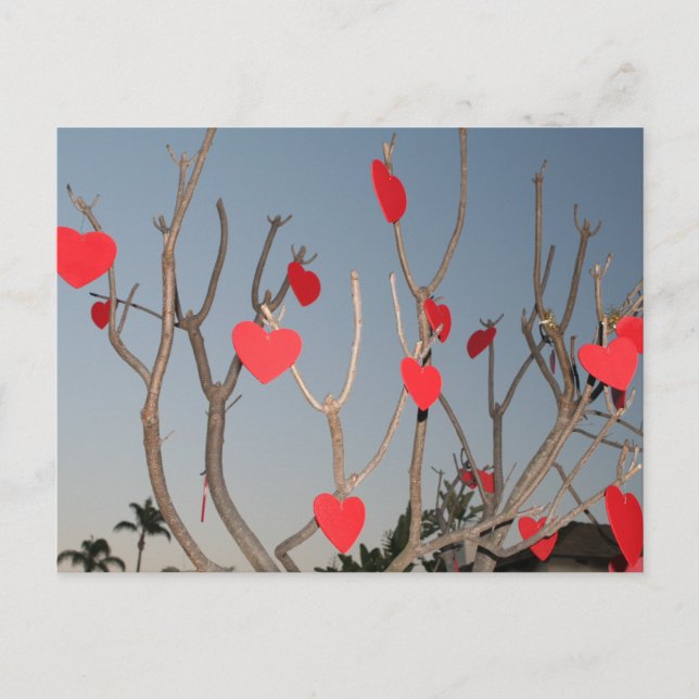 Heart Tree Postcard (Front)