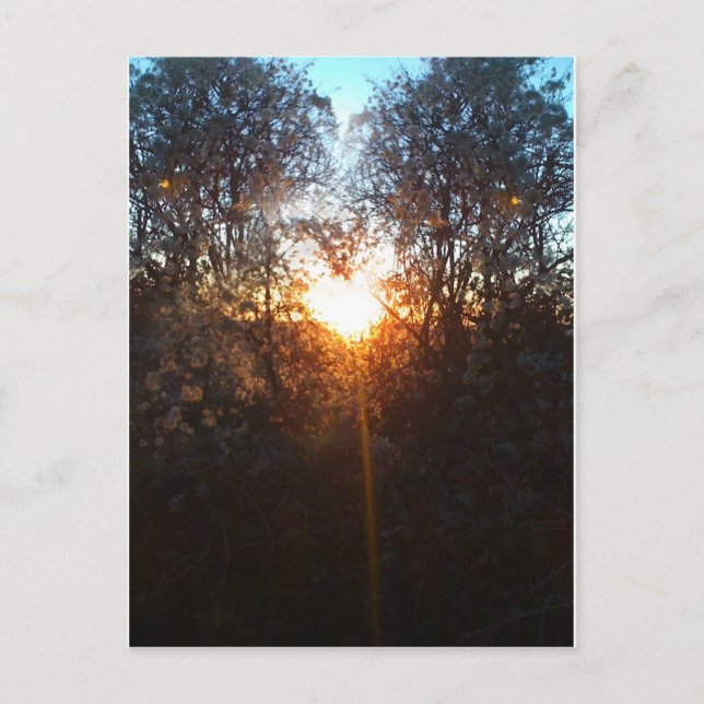 heartbeamdec2010 postcard (Front)