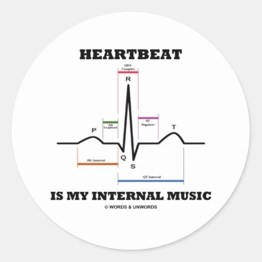 Heartbeat Is My Internal Music (ECG/EKG) Classic Round Sticker | Zazzle