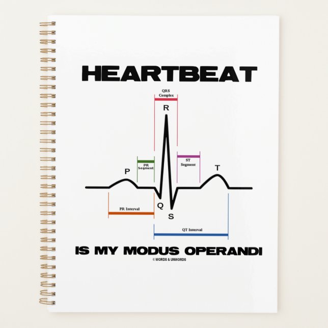 Heartbeat Is My Modus Operandi Sinus Rhythm Planner (Front)