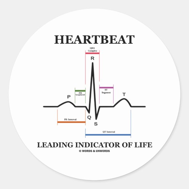 Ekg Stickers | Zazzle