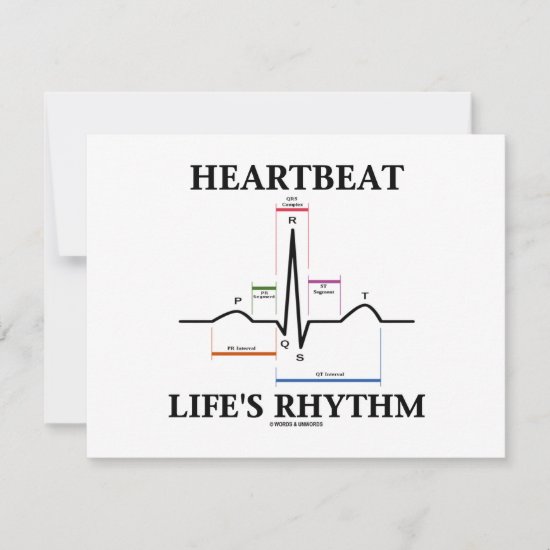 Heartbeat Life's Rhythm (ECG/EKG Heartbeat)
