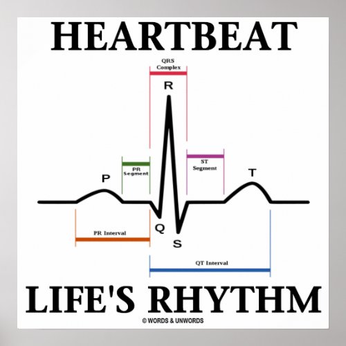 Heartbeat Lifes Rhythm ECG  EKG Heartbeat Poster