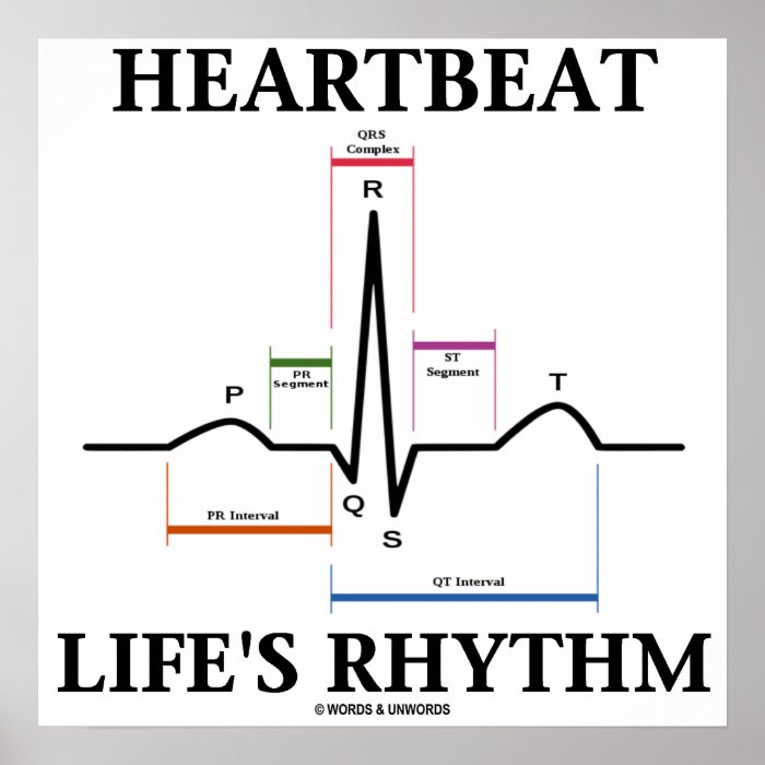 Heartbeat Life's Rhythm (ECG / EKG Heartbeat) Print