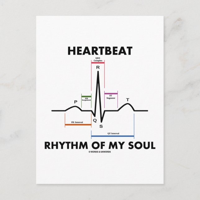 Heartbeat Rhythm Of My Soul (ECG/EKG) Postcard (Front)