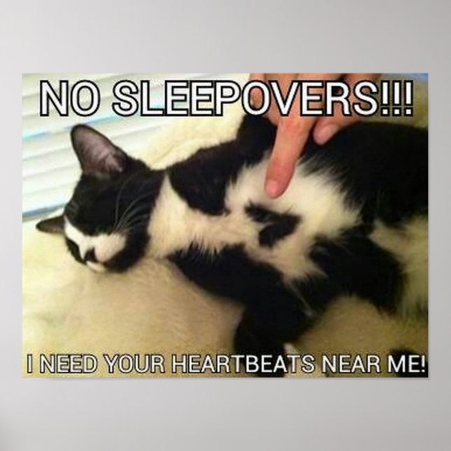 heartbeats poster (Front)