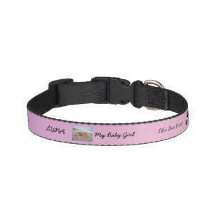 Heartfelt Companion Style Pet Collar