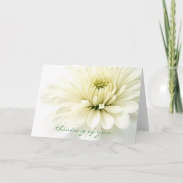 Heartfelt Sympathy Card