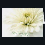 Heartfelt Sympathy Card<br><div class="desc">A beautiful, warm sympathy card that is soft, sincere, and heartfelt both visually and in the message it conveys.</div>
