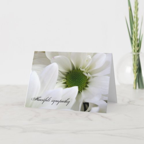 Heartfelt Sympathy Daisy Sympathy Card