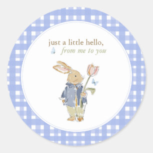 Hearthlight Notes Spring Soft Meadow Gingham Classic Round Sticker