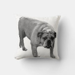 Hearthside Bulldog Pillow