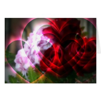 Hearts A Fire by kkphoto1 at Zazzle