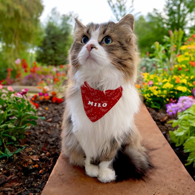 Hearts and wings on red pet bandana collar (Cat)