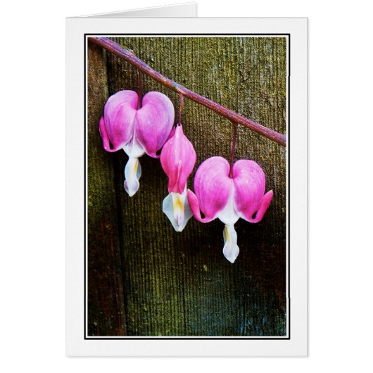 Hearts Bleed (Front)