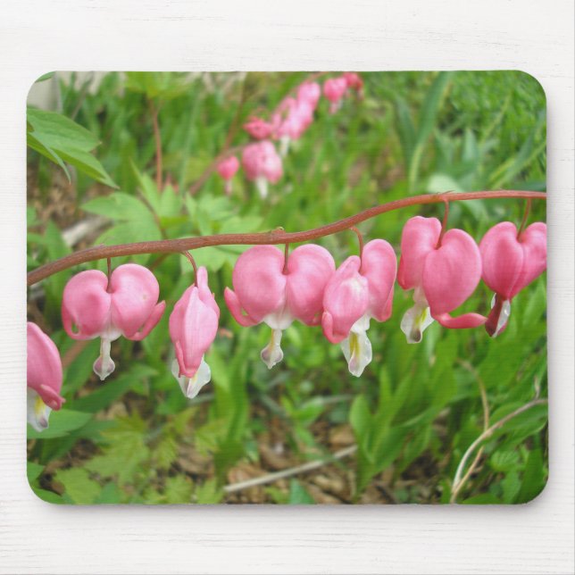 "Hearts Delight!" Mouse Pad (Front)