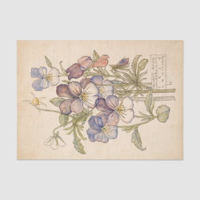 Heart's-Ease Walberswick by Charles Mackintosh Tissue Paper (Front)
