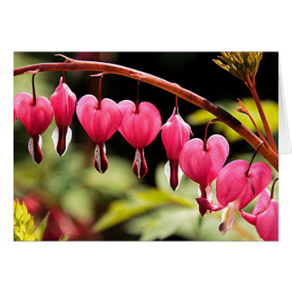 Hearts hanging out there cards