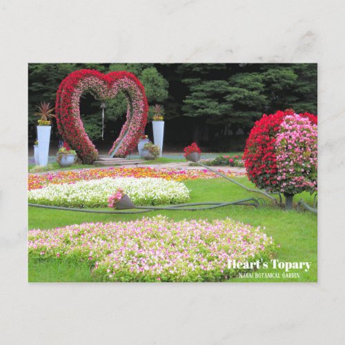 Hearts Topiary Postcard