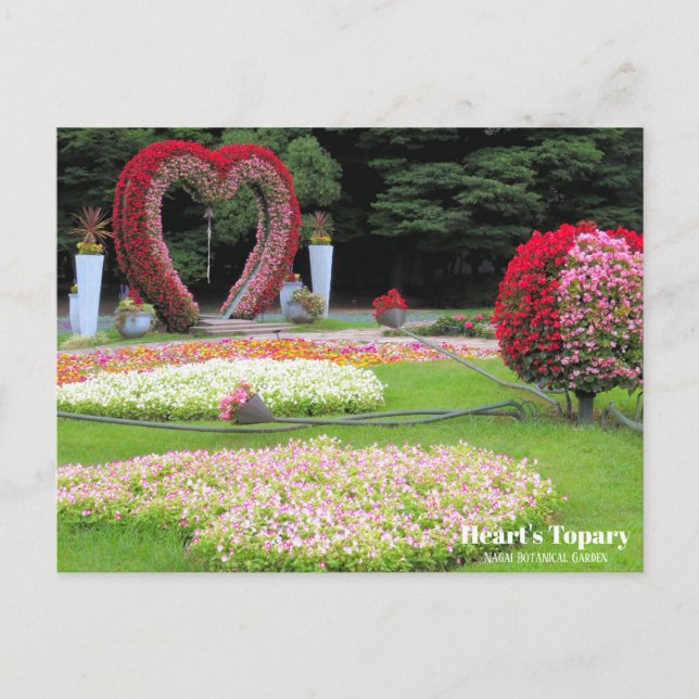 Heart's Topiary Postcard (Front)
