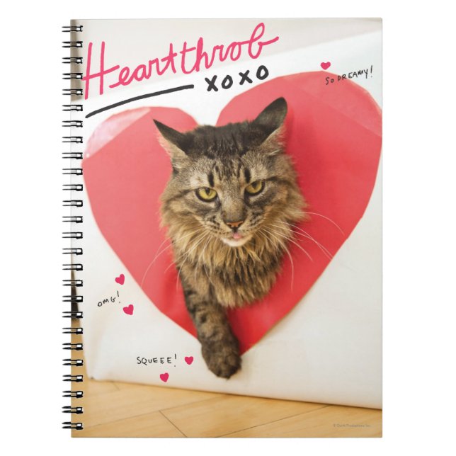 Heartthrob Cat Notebook (Front)