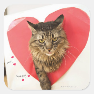 Heartthrob Cat Square Sticker