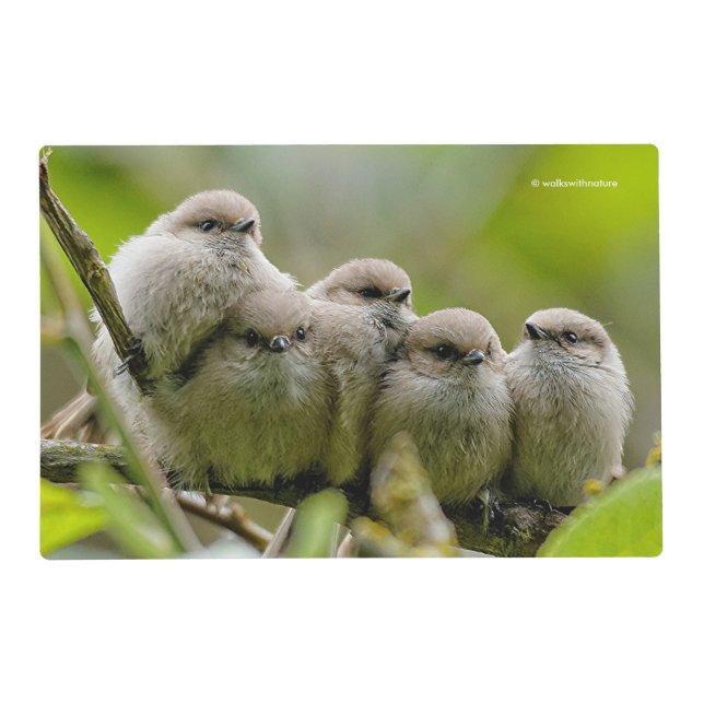 Heartwarming Cute Bushtits Songbirds Family Photo Placemat (Front)