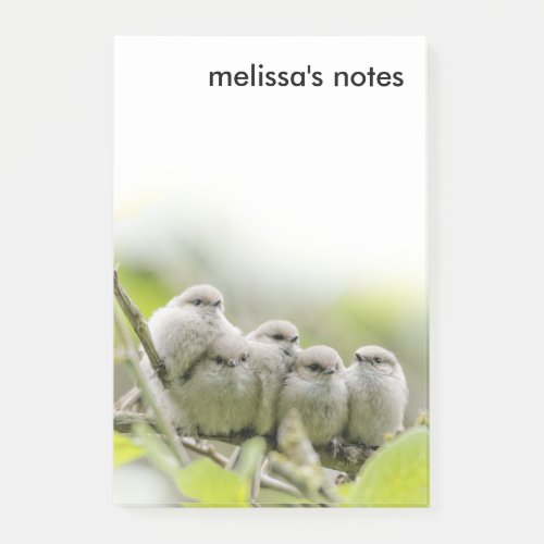 Heartwarming Cute Bushtits Songbirds Family Photo Post_it Notes