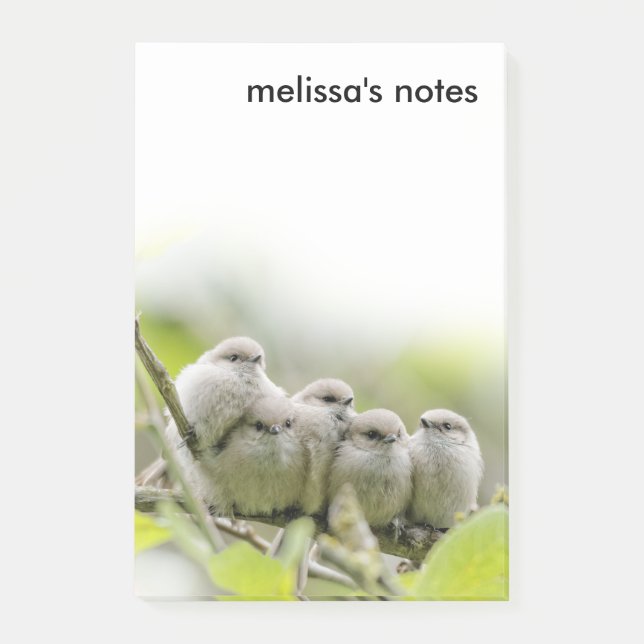 Heartwarming Cute Bushtits Songbirds Family Photo Post-it Notes (Front)