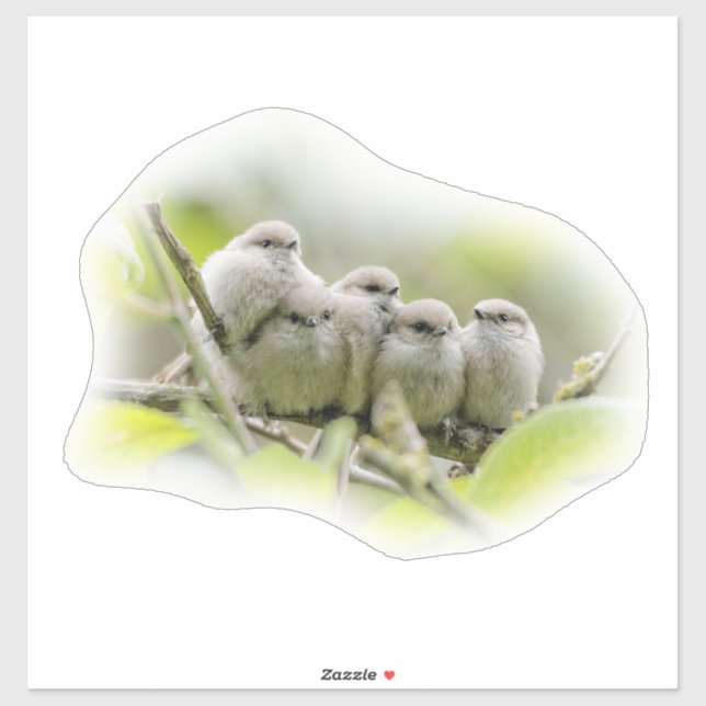 Heartwarming Cute Bushtits Songbirds Family Photo Sticker (Sheet)