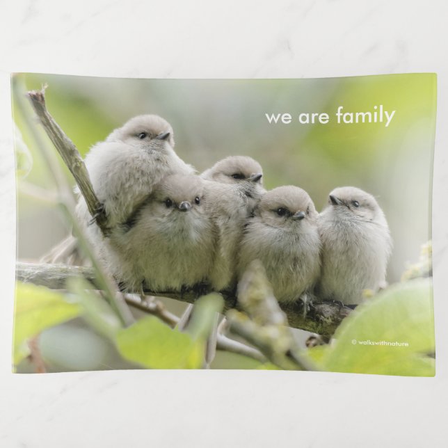 Heartwarming Cute Bushtits Songbirds Family Photo Trinket Tray (Front)