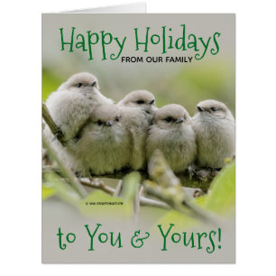 Heartwarming Songbirds Family Christmas Holiday Cards