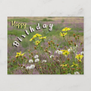 Heath and White Yellow Flowers Birthday Postcard