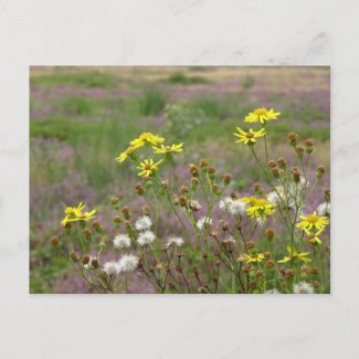 Heath and White Yellow Flowers DIY Postcard