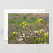 Heath and White Yellow Flowers DIY Postcard (Front/Back)