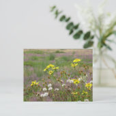 Heath and White Yellow Flowers DIY Postcard (Standing Front)