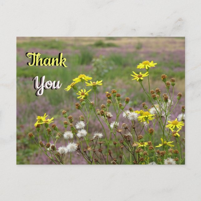 Heath and White Yellow Flowers THANK YOU Postcard (Front)