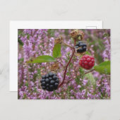 Heath & Blackberries DIY Postcard (Front/Back)