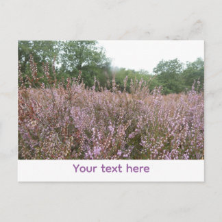 Heath Landscape DIY Postcard