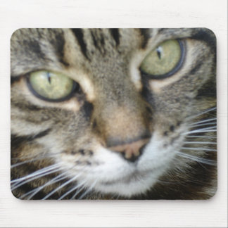 Heather Cat Mouse Mat
