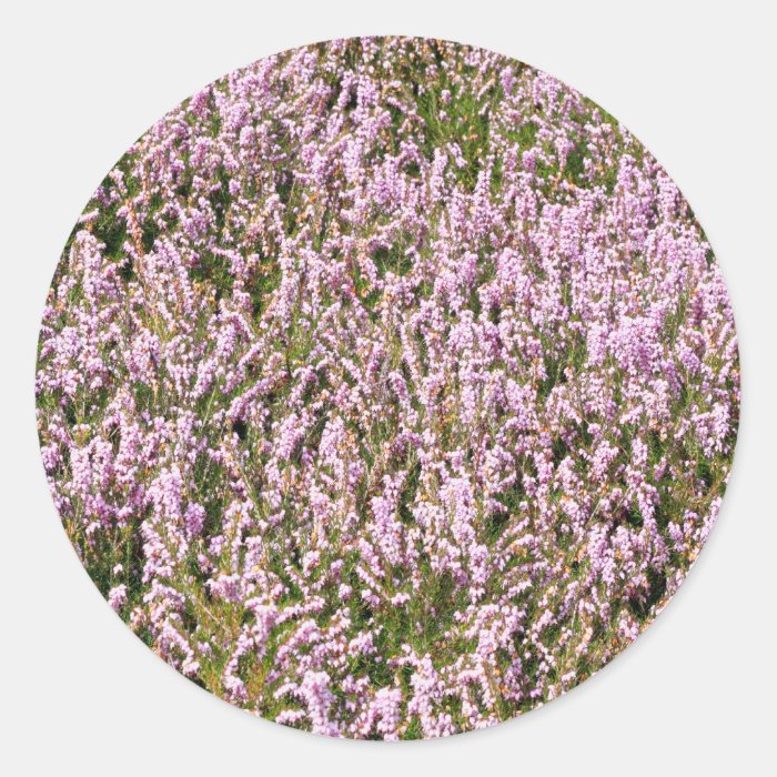 Heather Flowers Beautiful View Stickers