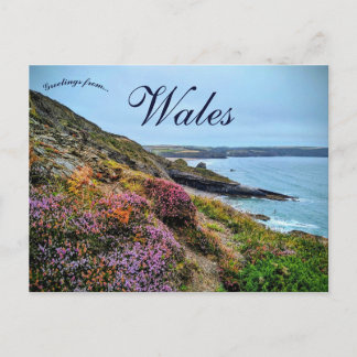 Heather in  Pembrokeshire Wales Postcard